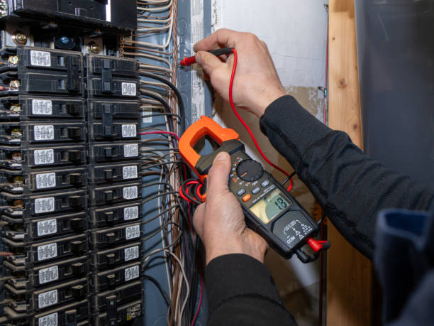 Best Ceiling Fan Installation Electrician  in Laguna Beach, FL
